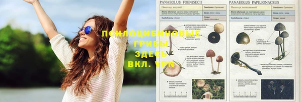 амф Алексеевка
